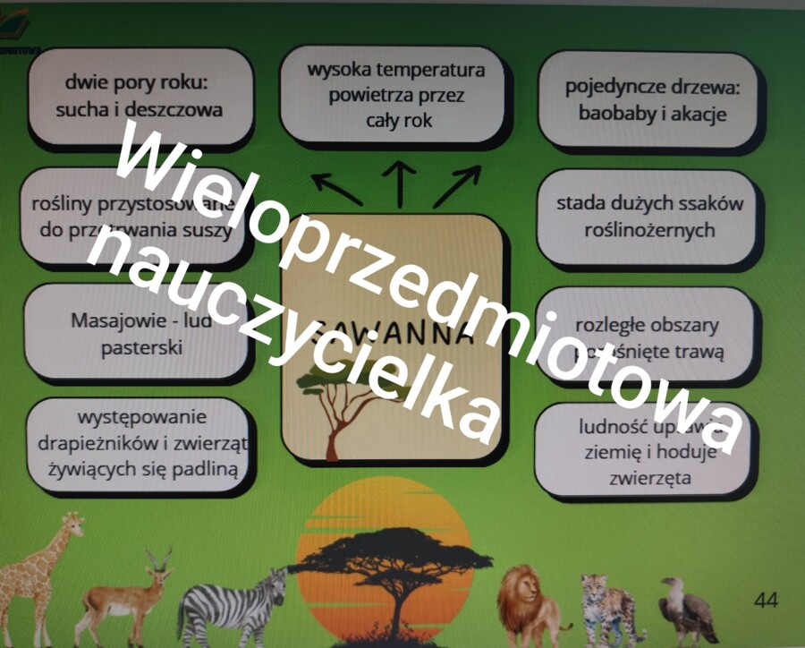 MAPY MYŚLI - GEOGRAFIA - KLASA 5 - 28 TEMATÓW - 56 STRON