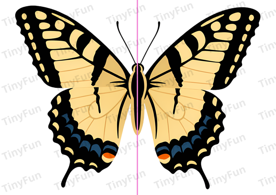 Kolorowe motyle 🦋 łączenie połówek | wiosenna zabawa,  PDF do druku