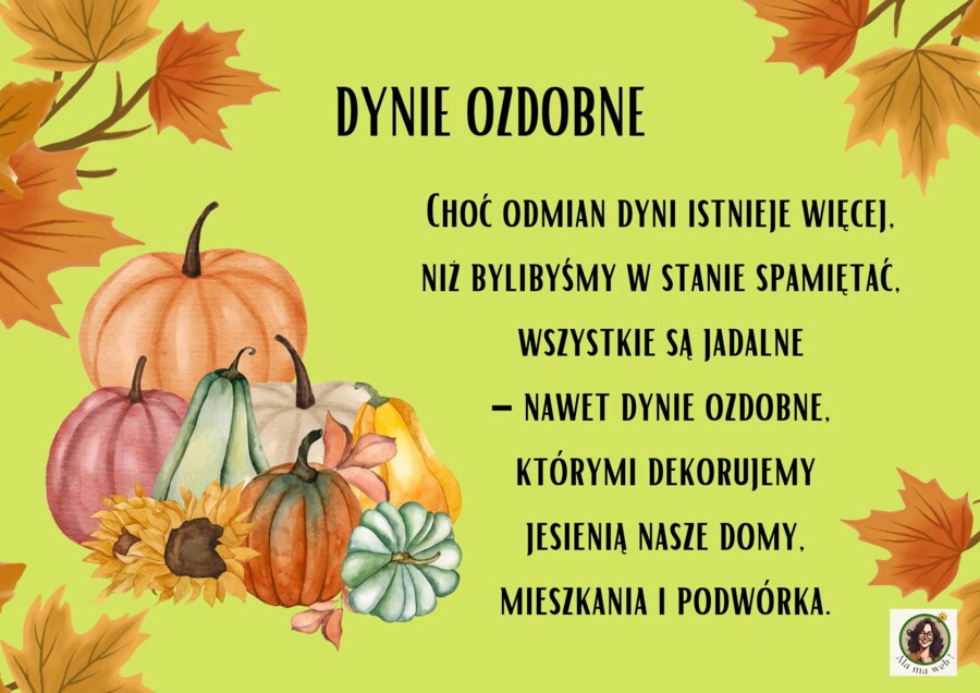 Gazetka "Dzień dyni".