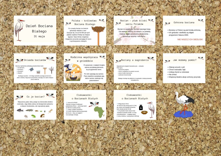 Dzień Bociana Białego - gazetka