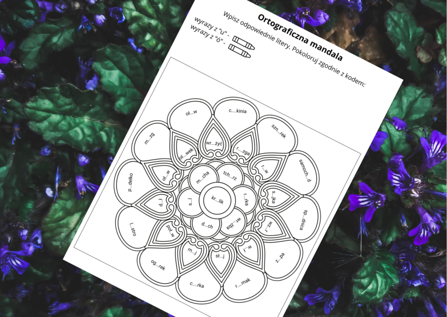 ORTOGRAFICZNA mandala – wyrazy z Ó-U – ortografia