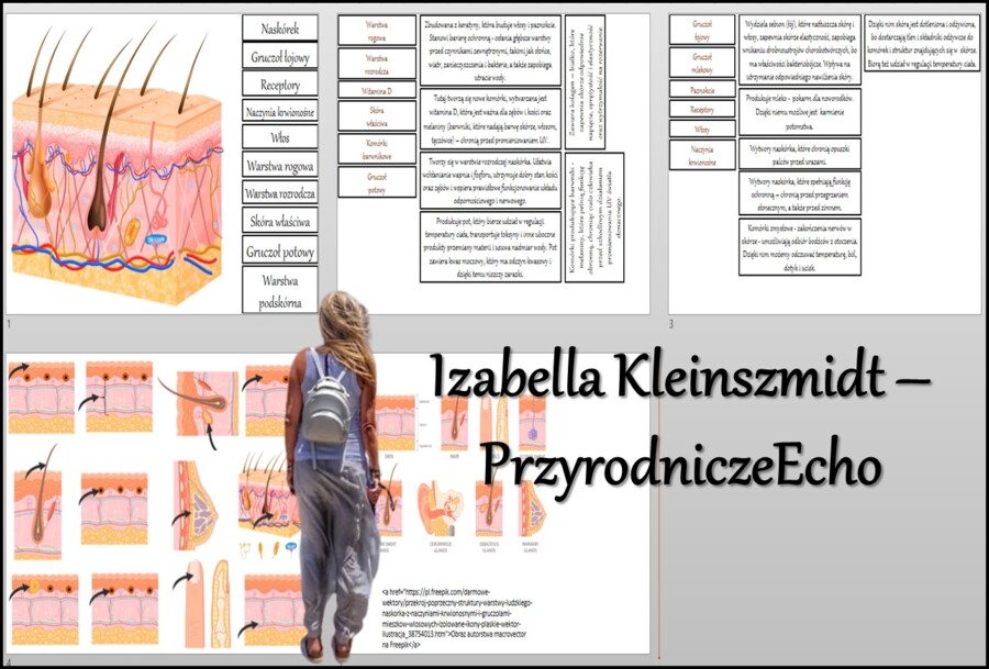 Materiał do zalaminowania/praca w grupach/stacje zadaniowe/układanka/puzzle/notatki okienkowe. Temat: „Budowa i funkcje skóry”, „Organizm człowieka jako funkcjonalna całość” w pdf. Biologia 7 dział „Organizm człowieka. Skóra - powłoka organizmu”. Materia