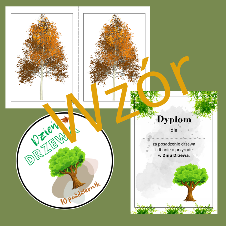 Dzień Drzewa
