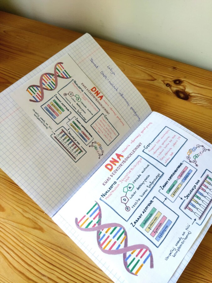 DNA – sketchnotka - wklejka | Biologia | klasa 8
