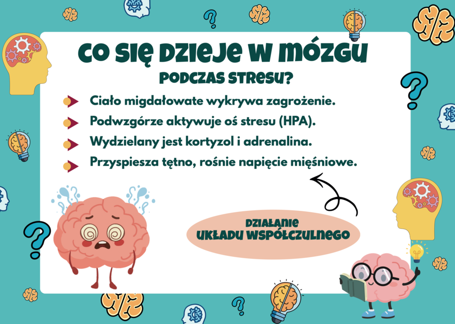 EUROPEJSKI DZIEŃ MÓZGU 18 MARCA - gazetka szkolna