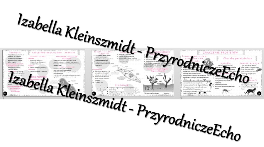 Sketchnotka - notatka „Różnorodność protistów” wykonana w power point do edycji. Biologia 5; „Wirusy, bakterie, protisty i grzyby”