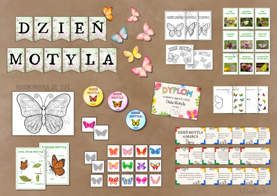 Dzień Motyla - zestaw