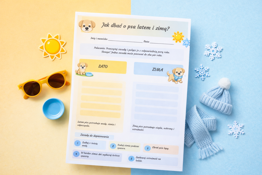 Jak dbać o psa latem i zimą?