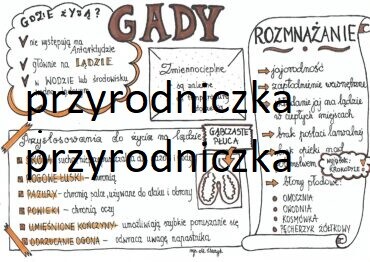 Klasa 6. Biologia. Gady
