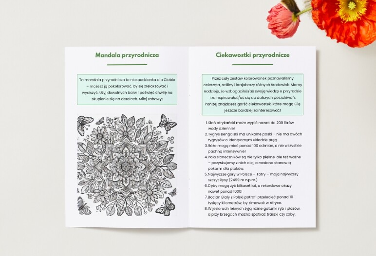 Karty do kolorowania z motywami przyrodniczymi (zwierzęta, rośliny, krajobrazy).
