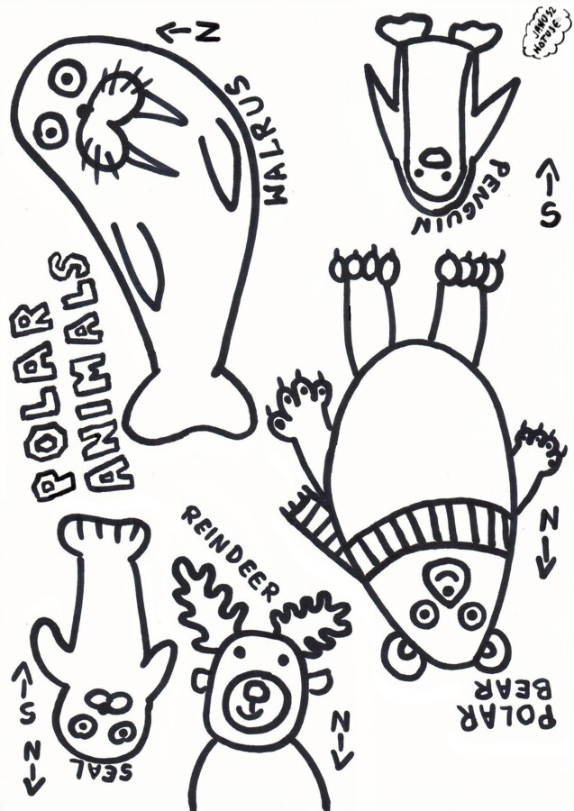 Polar animals