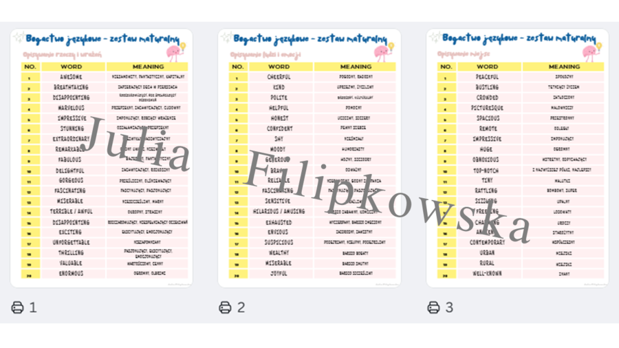 Bogactwo językowe / Matura / Must have matura / Matura exam / Notatka / Writing / Wypowiedź pisemna maturalna / E-mail / Mail / Email / Blog