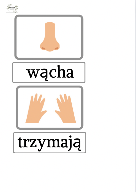 Tożsamość - Poznaję siebie - Zmysły