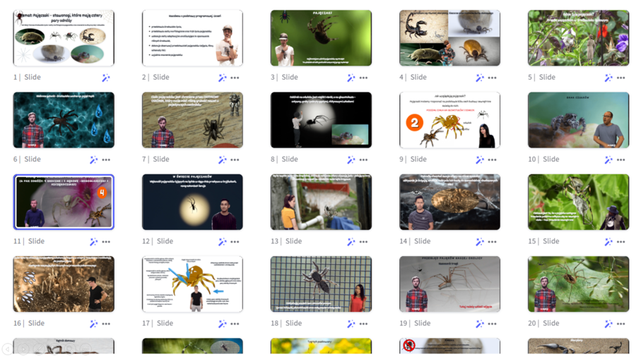 Prezentacja multimedialna w genial.ly „Pajęczaki – stawonogi, które mają cztery pary odnóży” – do edycji i pobrania – biologia klasa VI, dział III – temat 4