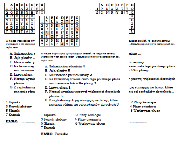 Kodowanka z płazami - podsumowanie lekcji Przegląd i znaczenie płazów
