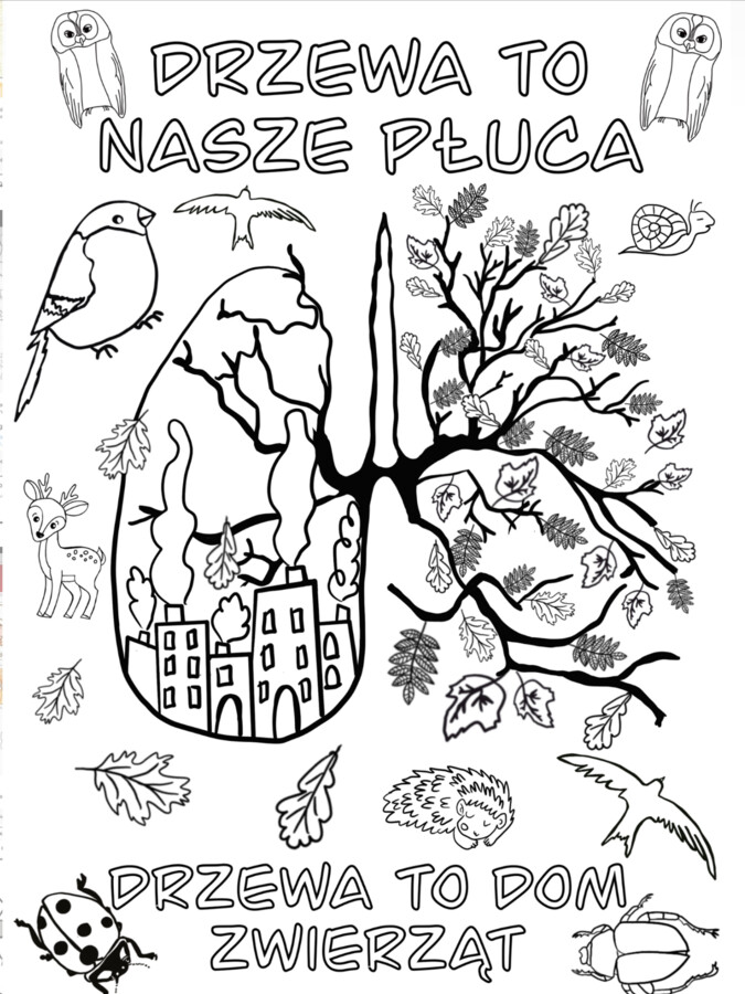 Kolorowanka -Dzień Drzewa