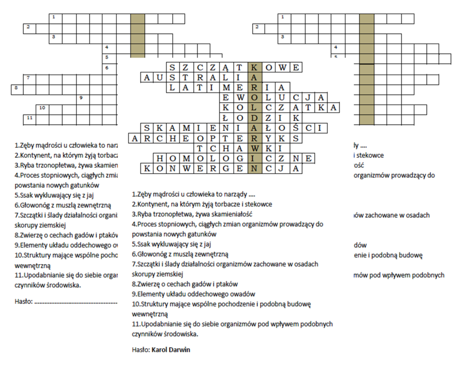 Logogryf dla kl. 8 na podsumowanie lekcji o dowodach ewolucji