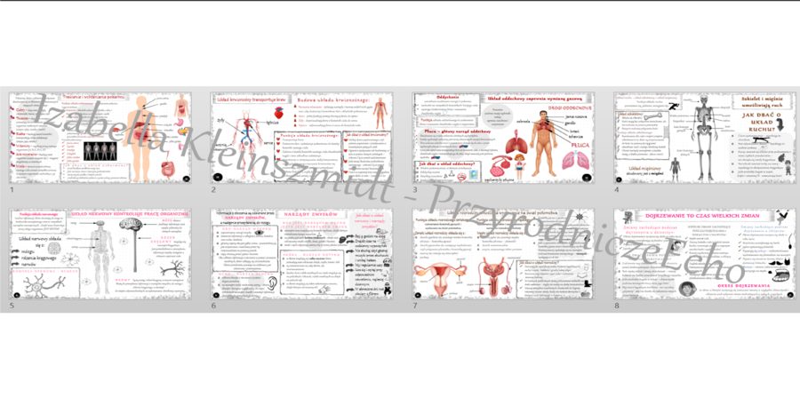 Zestaw 8 sketchnotek do przyrody w klasie 4 wykonanych w power point do edycji, PRZYRODA do klasy 4, dział IV – „Odkrywamy tajemnice ciała człowieka”