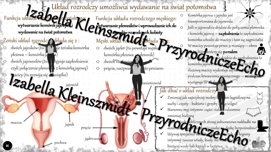 Sketchnotka „Układ rozrodczy umożliwia wydawanie na świat potomstwa ” w power point do edycji, PRZYRODA do klasy 4 – dział IV „Odkrywamy tajemnice ciała człowieka”
