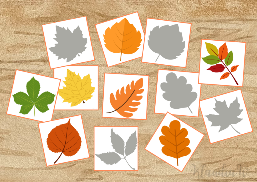 Jesienne listki - cienie