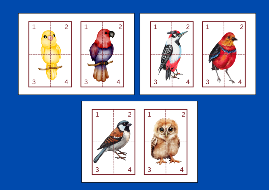 DZIEŃ PTAKÓW – puzzle – układanka- układanki – WIOSNA – biblioteka – świetlica – przedszkole – 12 wersji