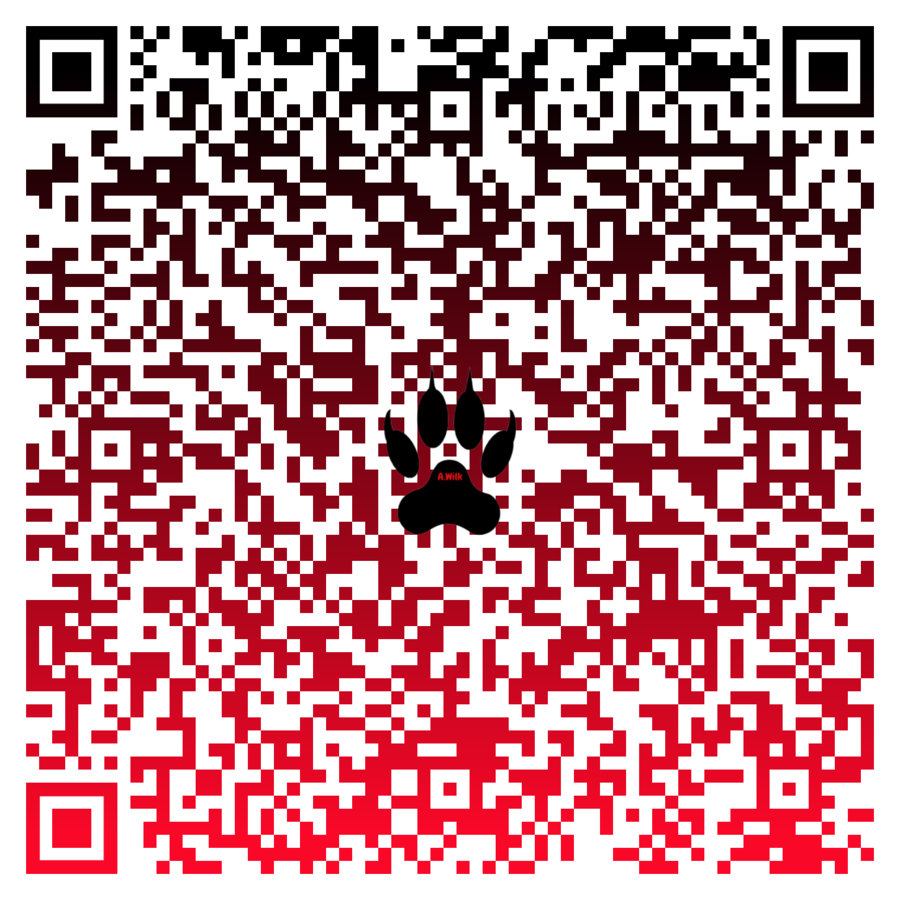 Innowacja programowo-metodyczna: historia w QRcodach