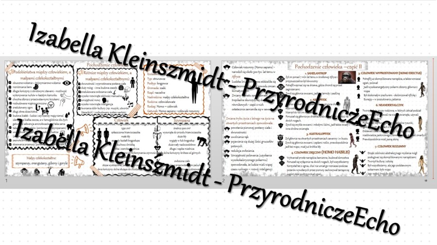 Sketchnotka - notatka „Pochodzenie człowieka” wykonana w power point do edycji. Biologia 8; „Ewolucja życia”