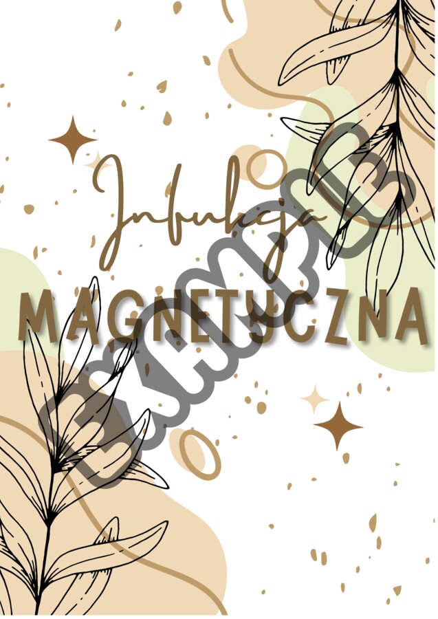 INDUKCJA ELEKTROMAGNETYCZNA - notatka - fizyka