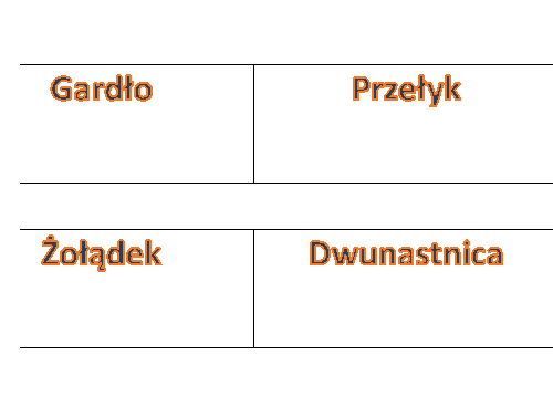 Domino Układ Pokarmowy