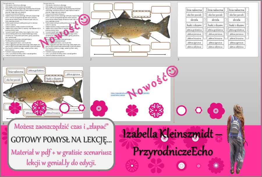 Pomysł na lekcję/karta pracy/stacje zadaniowe/ materiał do lekcji do tematu „Ryby-kręgowce środowisk wodnych – sekcja ryby” w pdf. W gratisie niekomercyjny scenariusz lekcji/pomysł na lekcję w programie genial.ly do edycji. Biologia 6. Dział „Kręgowce zm