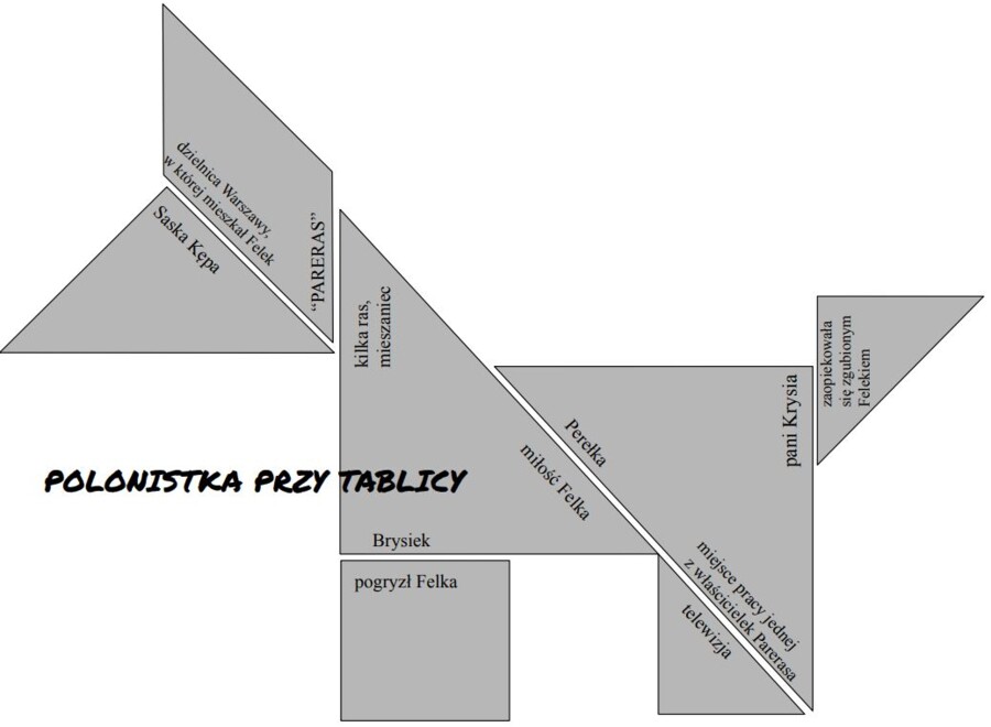 Tangram "Pamiętnik Felka Parerasa"