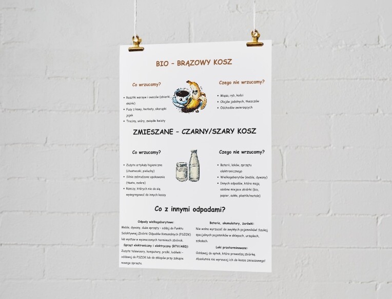Zasady segregacji odpadów. Recykling. Kolorowe kosze