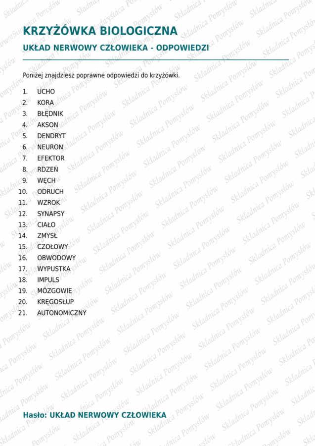 UKŁAD NERWOWY CZŁOWIEKA - krzyżówka dla klasy 7 (karta pracy, powtórzenie); biologia