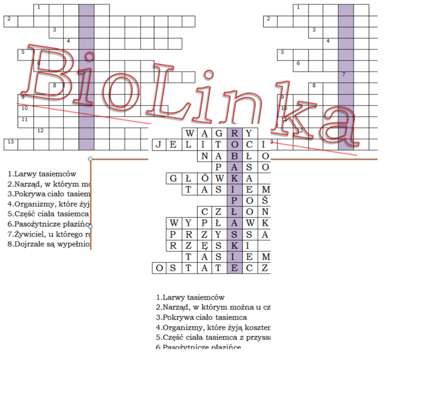 Logogryf dla klasy 6 na podsumowanie lekcji o płazińcach