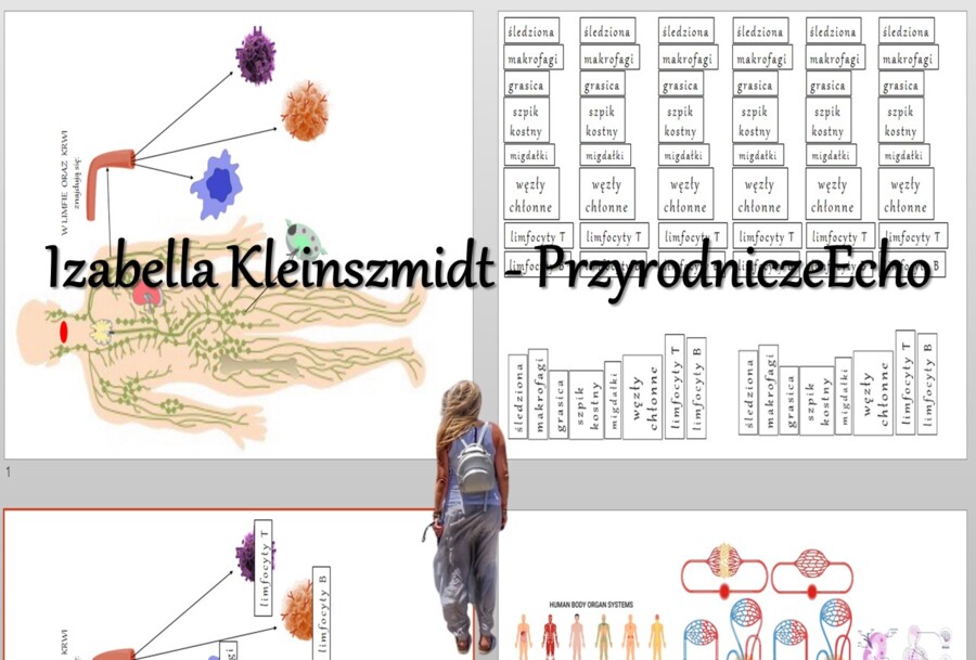Materiał do zalaminowania/praca w grupach/puzzle/układanka. „Budowa i funkcjonowanie układu odpornościowego” w pdf. Biologia 7, dział „Układ krążenia”.