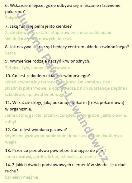 Odkrywamy tajemnice ciała człowieka (gra w statki na podsumowanie)