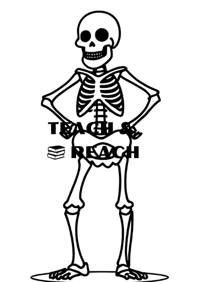 Halloween flashcards kolorwanki dla przedszkolaków angielski