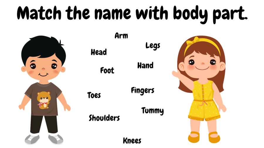 Body parts and clothes