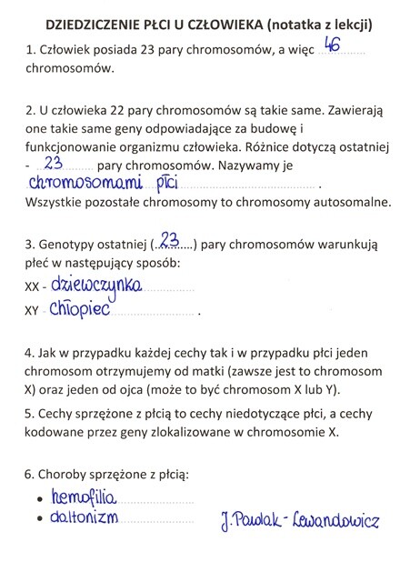 Dziedziczenie płci u człowieka - sketchnotka