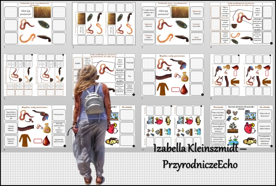 Notatka okienkowa/stacja zadaniowe/notatka interaktywna/notatka graficzna/karta pracy/sketchnotka „Pierścienice”, „Pierścienice-zwierzęta, które mają segmentowane ciało” w pdf. Biologia 5 , dział „Od parzydełkowców do pierścienic”. Materiał wykonany na p