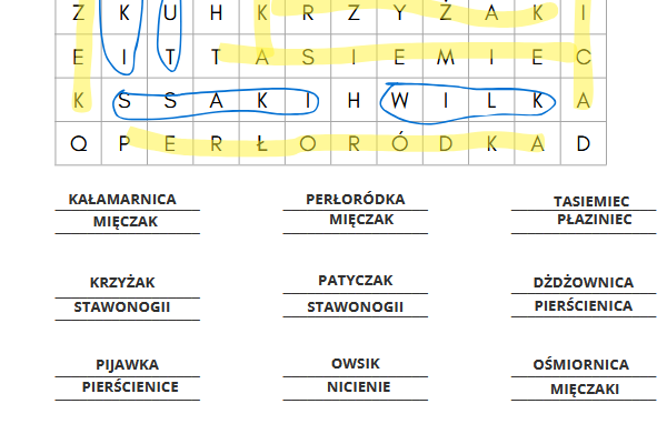 Podsumowanie - bezkręgowce i wprowadzenie do kręgowców