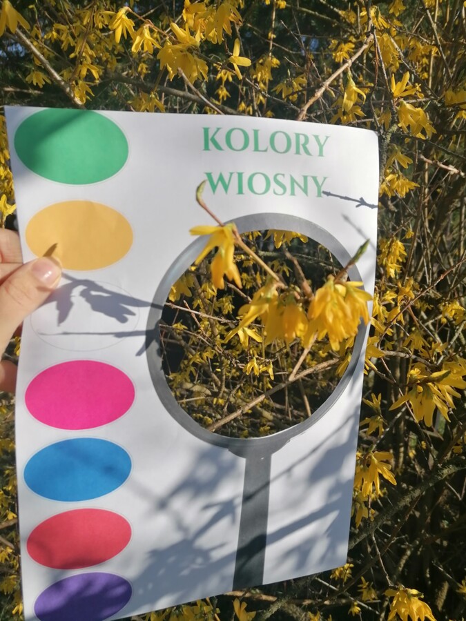 Wiosenne lupy i karty spaceru