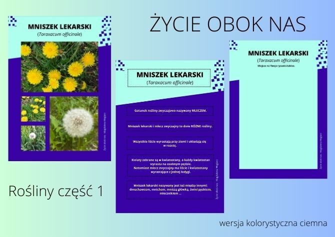 Rośliny część 1 - karty roślin (do pracy samodzielnej) - wersja kolorystyczna ciemna