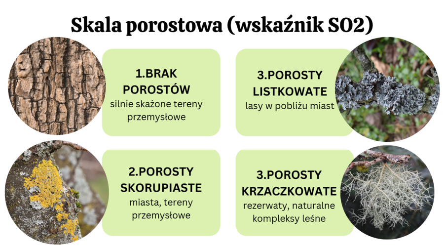 ekologia i różnorodność biologiczna KLASA 4 RZOSZERZENIE BIOLOGIA