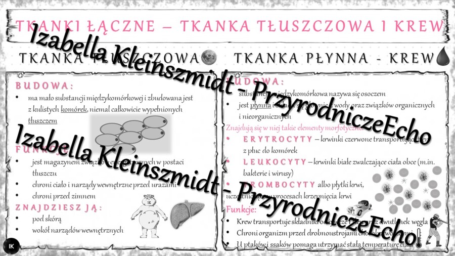 Sketchnotka - notatka „Tkanka łączna - tłuszczowa i krew” wykonana w power point do edycji. Biologia 6; „Świat zwierząt”