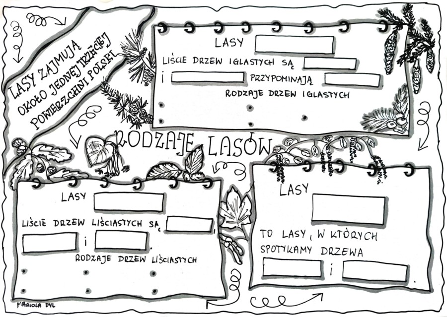 Rodzaje lasów. Karta pracy. Klasa 4