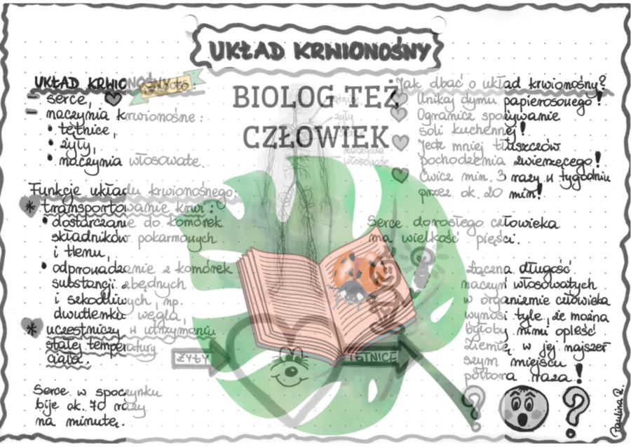 PRZYRODA - Ciało człowieka - Układ krwionośny - szarość