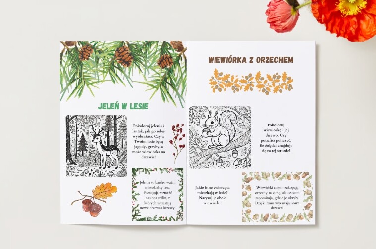 Kolorowanki ekologiczne. Zwierzęta. Rośliny. Środowisko naturalne.