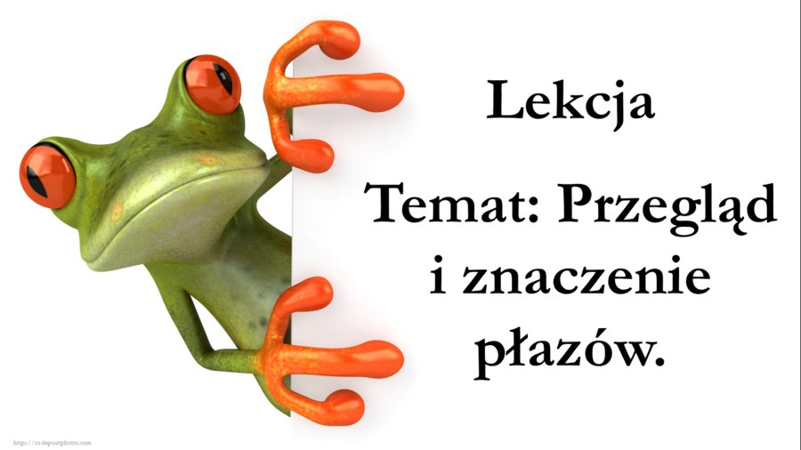 Klasa 6 - Płazy przegląd i znaczenie - prezentacja