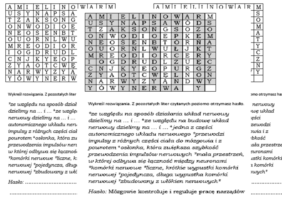 Wykreślanka dla klasy 7 na podsumowanie lekcji o budowie i roli układu nerwowego